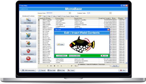 Screenshot of MonoBase main window with field edit.