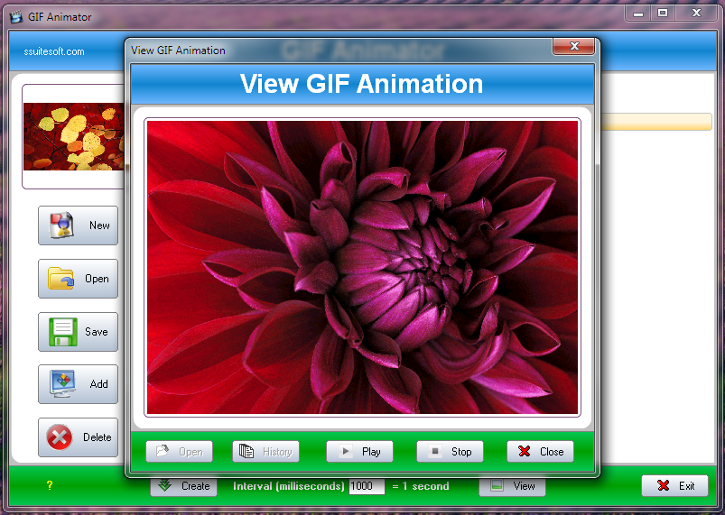 Gif Animator, Movie and Slide Show Creator - SSuite Office Software